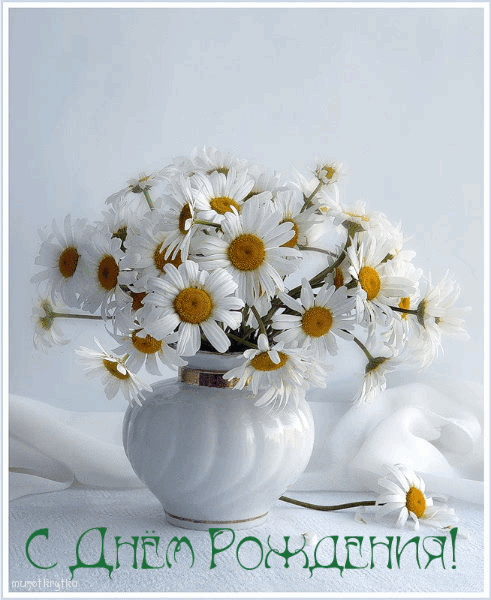 Ромашкового дня рождения