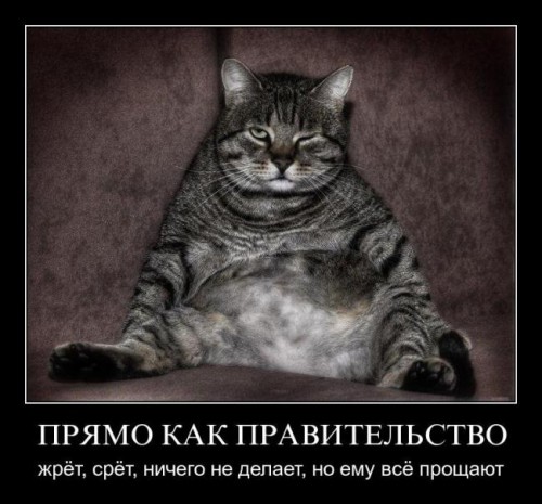 Про конкурсы вконтакте Про конкурсы вконтакте