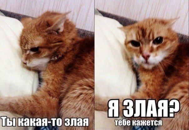 Девушка в 5 утра выходного дня Девушка в 5 утра выходного дня
