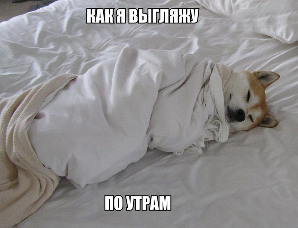 Смешная фотка по утрам