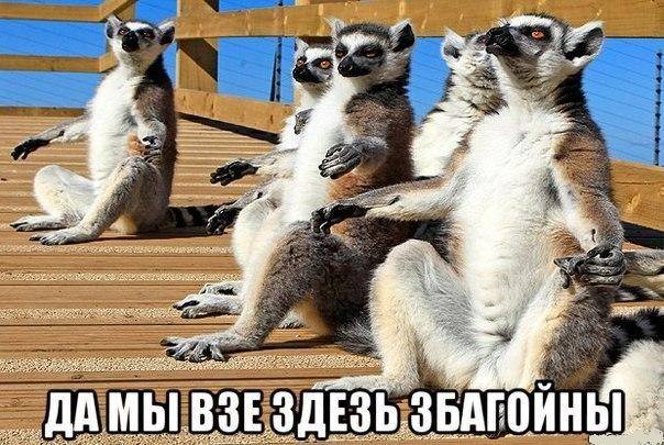 Збагойствие, только збагойствие! Збагойствие, только збагойствие!