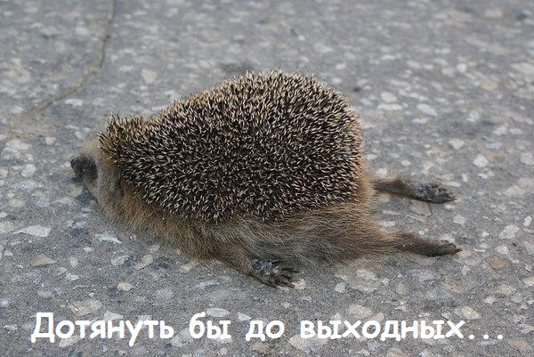 Туры из самары на майские праздники
