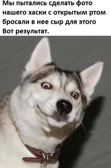 http://s1.tchkcdn.com/fun/g2/s/1/1/8/3/20183/976595668.jpeg