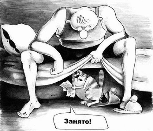 Эти забавные животные