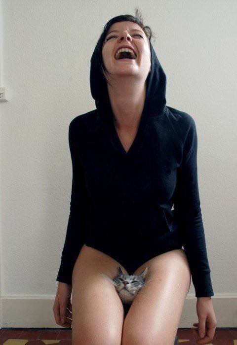http://s1.tchkcdn.com/fun/g2/s/1/4/9/4/13494/209029_58f.jpeg
