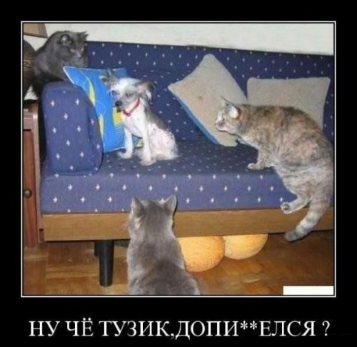 Погода в белгороде на апрель 2017 года