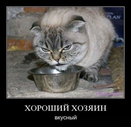Про конкурсы вконтакте Про конкурсы вконтакте