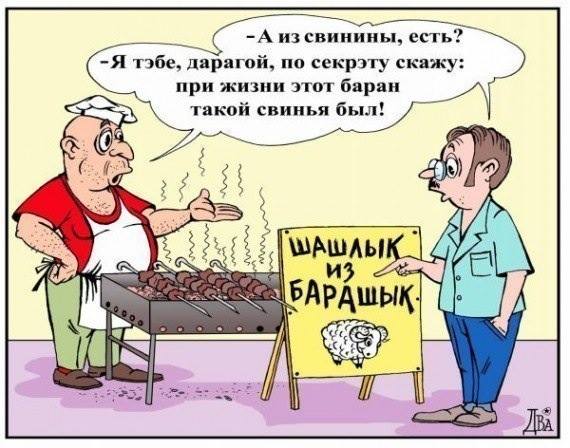 В жизни баран такой свиньей был.. В жизни баран такой свиньей был..