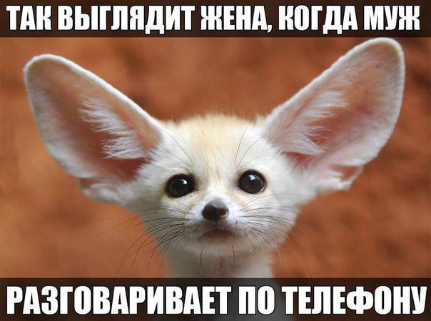 Няшный мем про жен и телефон Няшный мем про жен и телефон