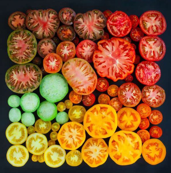 Пошлые конкурсы веселые конкурсы Пошлые конкурсы веселые конкурсы