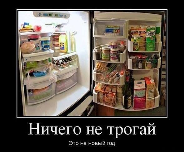 Во всех холодильниках страны Во всех холодильниках страны