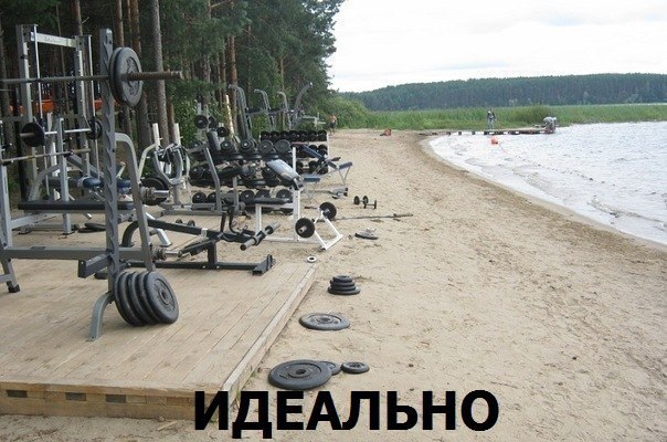 Картинка дня