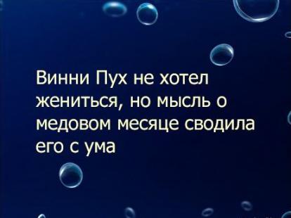 Винни Пух и медовый месяц Винни Пух и медовый месяц