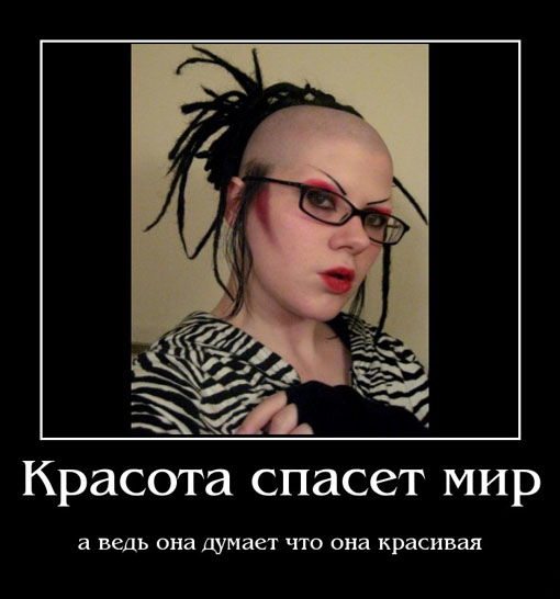 http://s1.tchkcdn.com/fun/g2/s/1/6/2/7/19627/535642315.jpeg