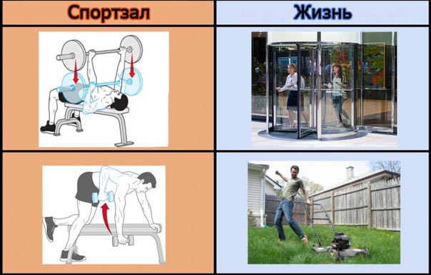 Зачем ходить в спортзал Зачем ходить в спортзал