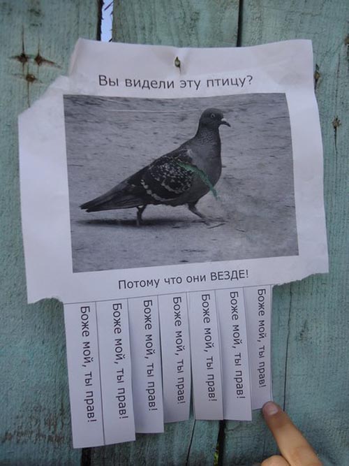 http://s1.tchkcdn.com/fun/g2/s/1/6/4/4/17644/250637.jpeg