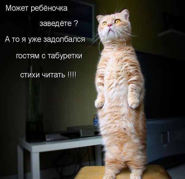 смотреть дом 2 тв смотреть дом 2 тв