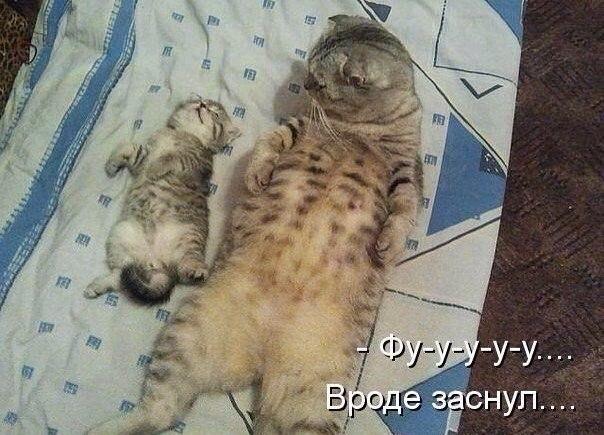 Наконец-то Наконец-то