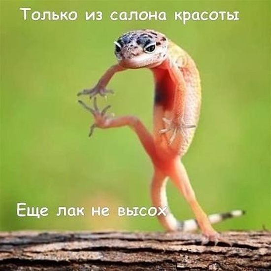салоны красоты вконтакте одесса салоны красоты вконтакте одесса