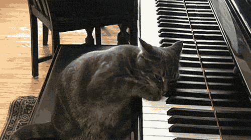 1796884455.gif