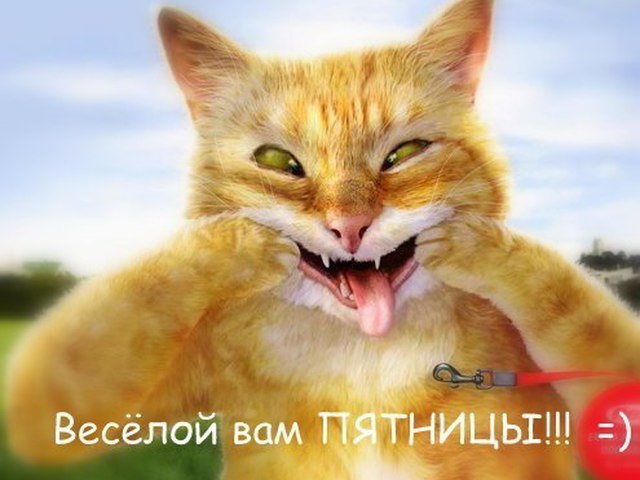 Открытки про пятницу бесплатно Открытки про пятницу бесплатно