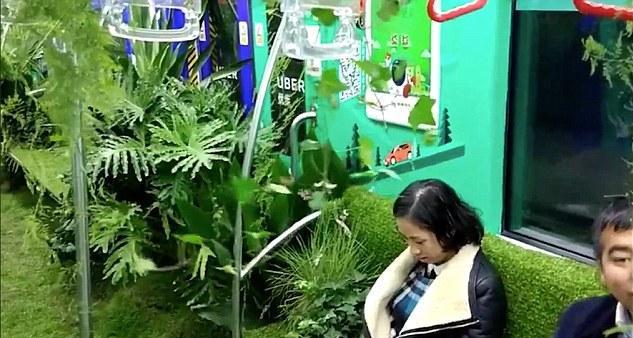 В китайском метро один из вагонов превратили в настоящий лес