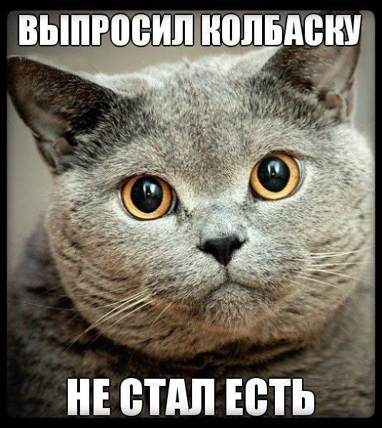 Через сколько Новый Год 2018? Через сколько Новый Год 2018?