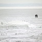 Черное море замерзло