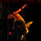 Репетиция и концерт Crazy Horse
