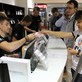 iPad2 в Олимпийском