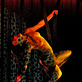 Кабаре Crazy Horse в Киеве