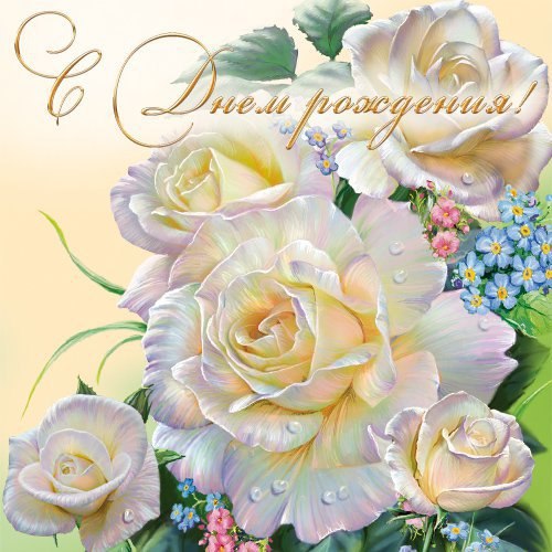 orig_19a95c8c78175e66a889d57cb6f76678.jp