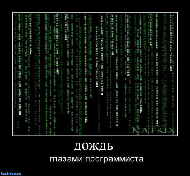 224024_a48.jpeg