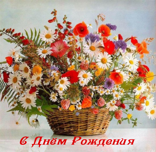 orig_2875efa92a9b840106789befd644c63a.jp