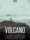 Volcano 2011 DVDrip XviD XaW