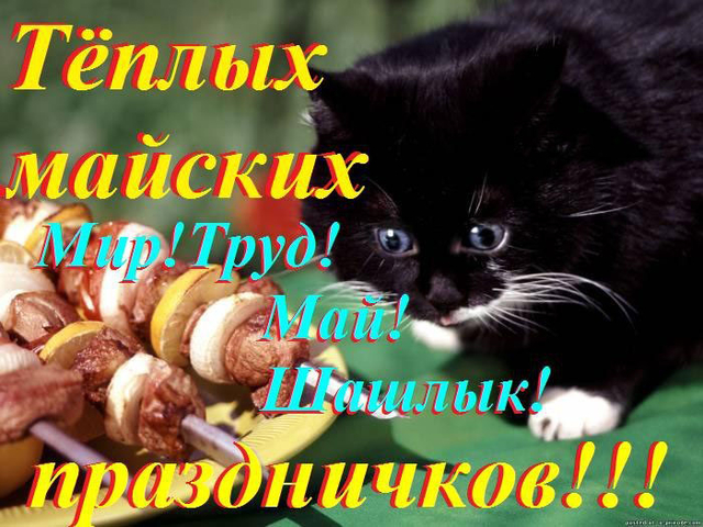 http://s1.tchkcdn.com/g2-xwe6YxXy4kI-iTrZjplHiQ/cards/640x640/w/0/1-1-6-2-162/orig_ffc3f1b8cf3e98c655ac6e3da97f9447.jpg
