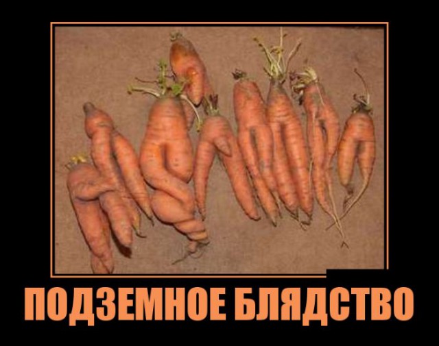 Пошлый демотиватор