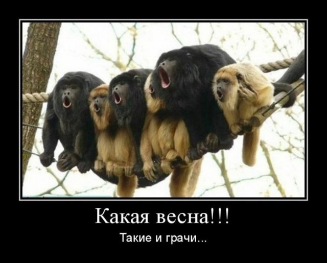 [Зображення: 201173.jpeg]
