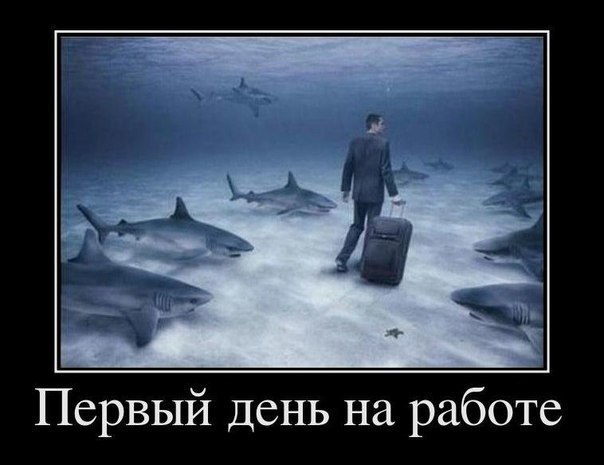 Демотиватор про работу