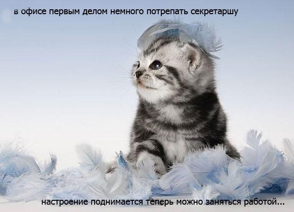 Открытки доброе утро понедельника Открытки доброе утро понедельника
