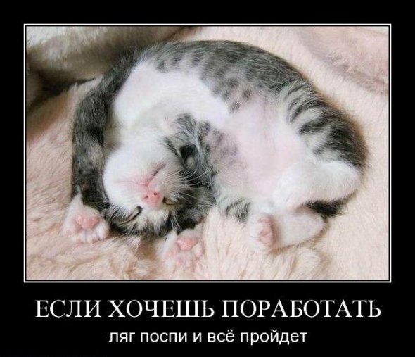 Теплый Стан. Картинки, фото, фотки, изображения, фотографии