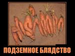 Пошлый демотиватор