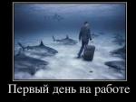 Демотиватор про работу