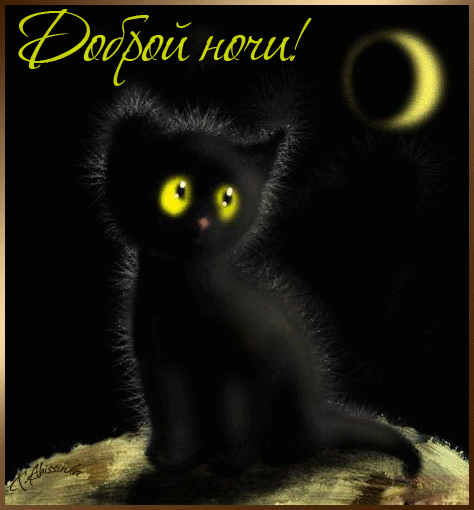 http://s1.tchkcdn.com/cards/g2/s/1/4/2/4/424/8db3d636a4e1cddf2235e1aee628c0f0_315954643.gif