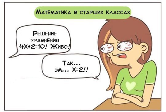 Правдивый комикс про математику