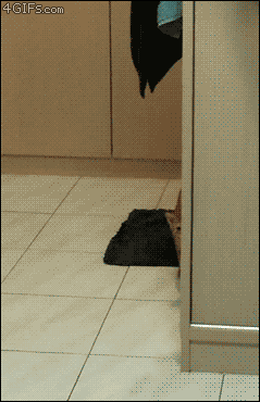 http://s1.tchkcdn.com/fun/g2/s/1/2/2/3/28223/c4cfdbba53abd66f0b062ea89010f210_1.gif
