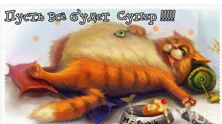http://s1.tchkcdn.com/fun/g2/s/1/2/6/1/16261/233604.jpeg