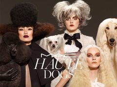 MAC Haute dogs - колекція косметики2