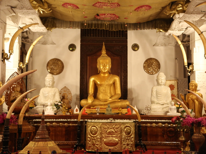 Дмитрий Каднай о Шри-Ланке: все, что вы не прочитаете в путеводителе об острове