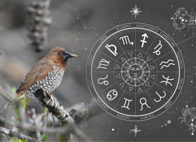 Гороскоп на 18 лютого 2024 року для всіх знаків зодіаку